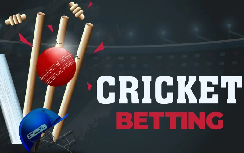 cricket games for android at gamexch567 featured image